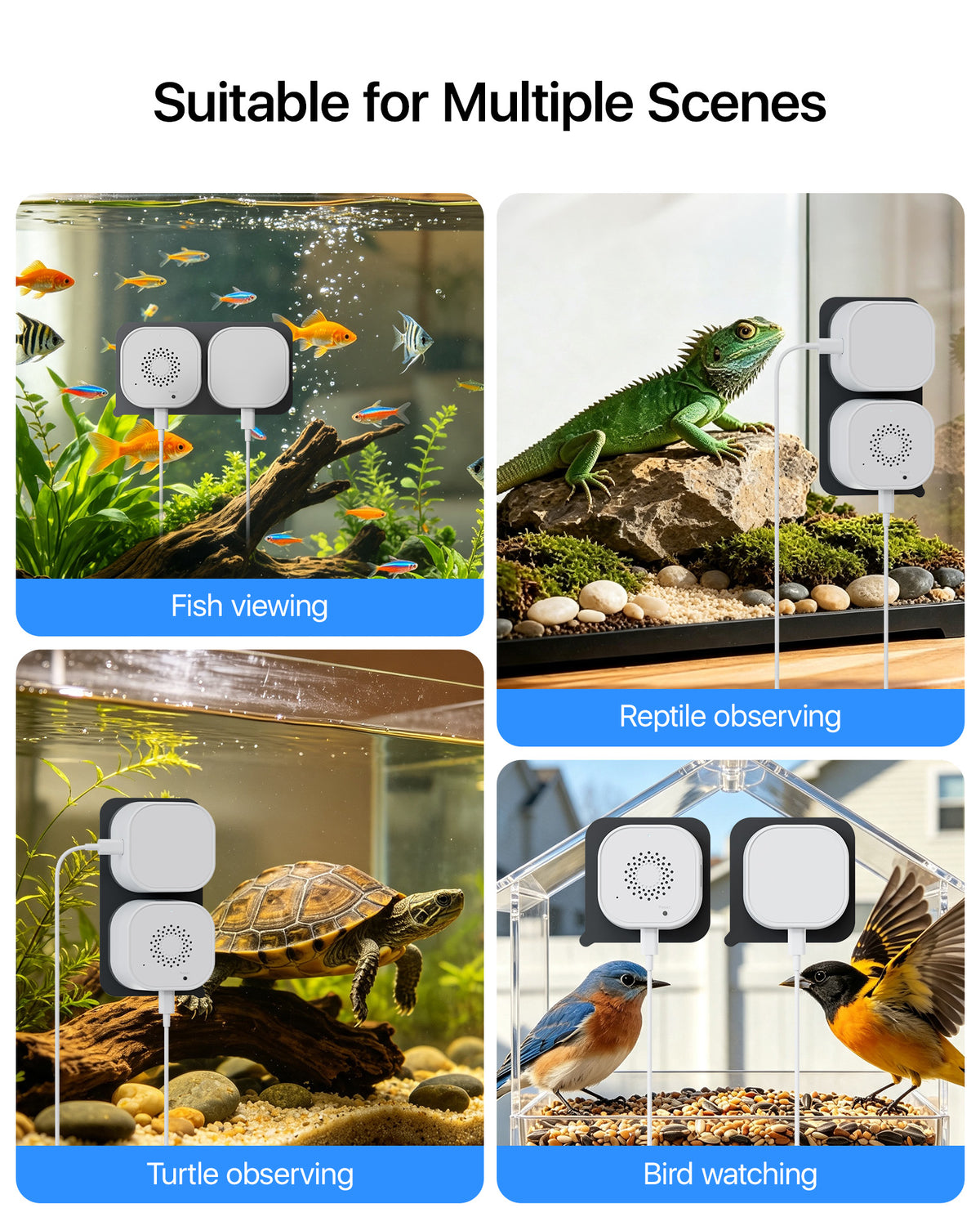 Aquarium Camera,2K Live Fish Tank Camera for Pet Reptile with Fill Light